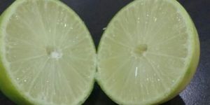 Seedless Lemon