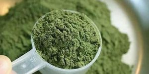 Organic Stevia Powder