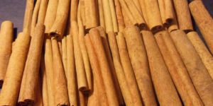 Cinnamon Stick