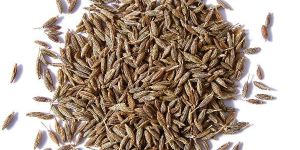 Cumin Seeds