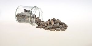 Cocoa Beans