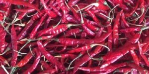 Dry Red Chilli