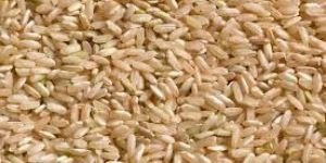 Brown Rice