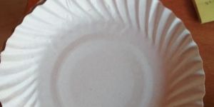 6-7 inch paper plates