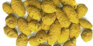 Dry Turmeric Bulb
