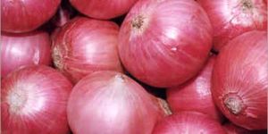 Fresh Onion