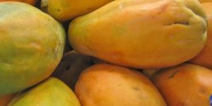 Fresh Papaya