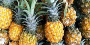 Fresh Pineapple