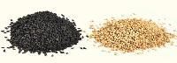 Sesame Seeds