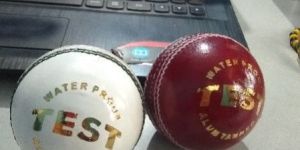 Cricket Leather Ball
