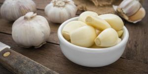 Fresh Garlic