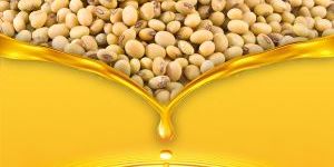 Refined Soyabean Oil
