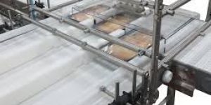 Food Handling Conveyor