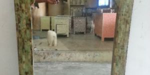 Bone Inlay Mirror Frames