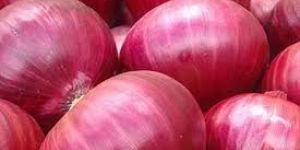 Fresh Red Onion