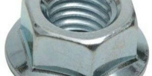 Flange Nut