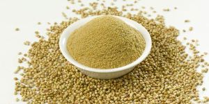 Coriander Powder