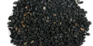 Sesame Seeds