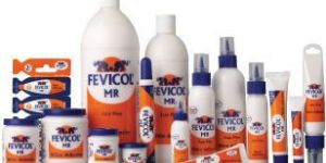 Fevicol Adhesive