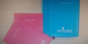 Human Space New Year Diaries