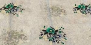 Embroidery Tissue Linen Saree