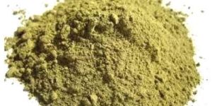 Aloe Vera Powder