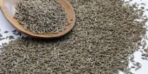 Cumin Seeds