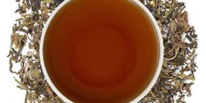 Tulsi Twins Green Tea