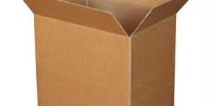 Plain Carton Box