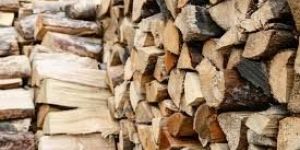 Firewood