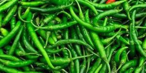 Fresh Green Chilli