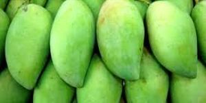 Fresh Green Mango