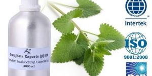 Catnip Essential Oil