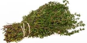 Fresh Thyme