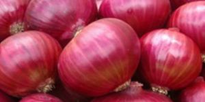 Organic Red Onion