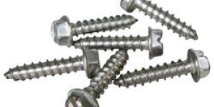 Stainless Steel Screws