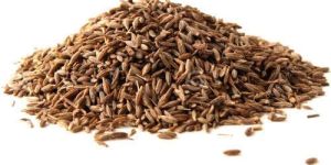 Raw Cumin Seeds