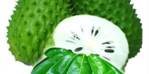 Soursop Fruit