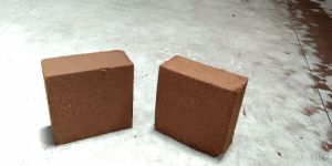 Coir Pith Blocks