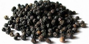 Black Pepper Seeds