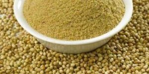 Coriander Powder