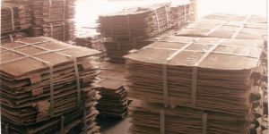 Copper Cathodes