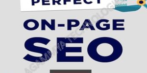 on Page SEO Services
