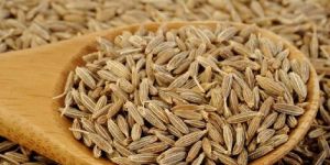 Cumin Seed