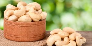 Indian Cashew Nuts
