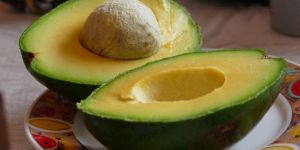Fresh Avocado