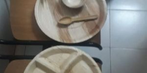 Areca Leaf Plate Bowls