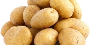 Potato