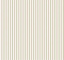 Glazed Cotton Fabric