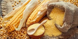 Maize Flour